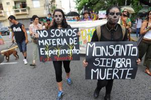 Millions against Monsanto rally in Puerto Rico. Photo: Indymedia Puerto Rico