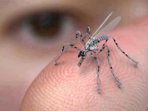 The Drone Mosquito Size