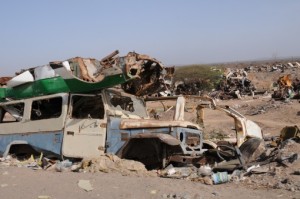 Still life in the Djibuti desert. 