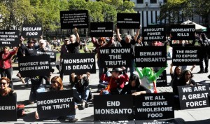 Anti-GMO protesters in New York. (Michael Fleshman / Flickr)