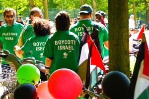 bds demo