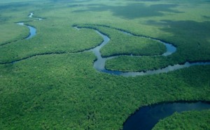 O Rio Marié tem 720 km, desde sua nascente até a foz, no Rio Negro. Possui mais de 180 igarapés e 11 paisagens distintas, entre campinaranas e florestas. Nos estudos do projeto, foram identificados 55 lagos, 11 ilhas, além de pedrais, cachoeiras e paragens. | Camila Barra - ISA