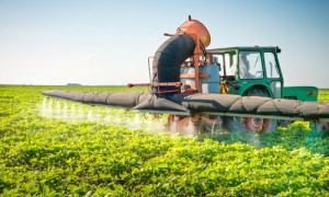 In recent years, Roundup was found to be even more toxic than it was when first approved for agricultural use, though that discovery has not led to any changes in regulation of the pesticide. Photo courtesy of Shutterstock