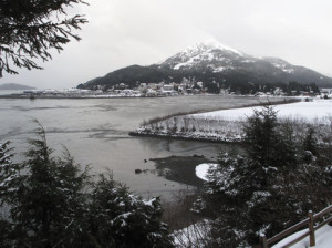 Twenty five years after the oil spill, Cordova, Alaska, has become a hub for scientists. Marisa Penaloza/NPR