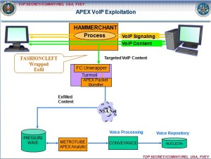 nsa hammer-voip