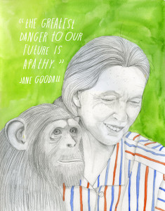 Portrait of Jane Goodall by Lisa Congdon from our collaborative project, 'The econstructionist.'