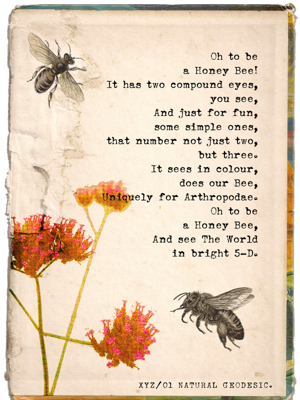 bee poem