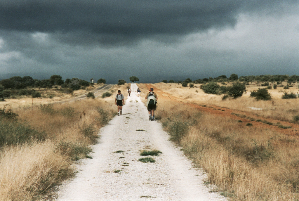 Heading to Astorga, the next albergue.