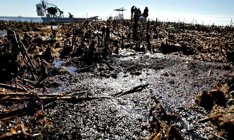 Oil is deposited along dead marsh land near Bay Jimmy in Port Sulphur, Louisiana, in January 2011, 10 months after the spill. The clean-up is ongoing. Photograph: Getty Images