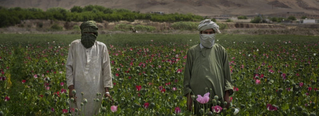 Afghanistan produced 6,400 tons of opium in 2014, about 90 percent of the world's supply.