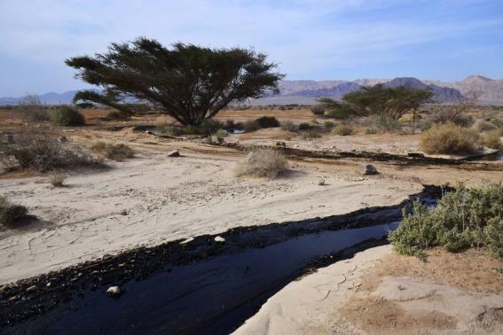 Crude oil streams through the desert in south Israel, near the village of Beer Ora, north of Eilat, December 4, 2014. Credit: Reuters/Yehuda Ben Itach