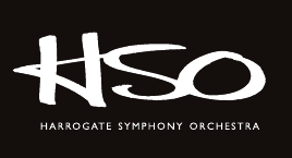 hso-logo