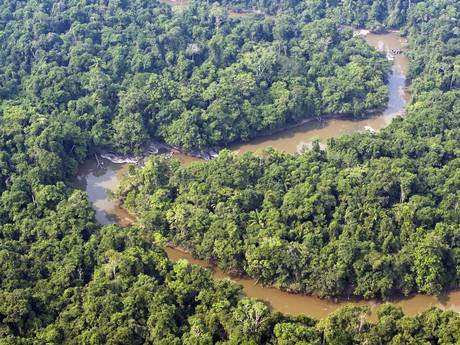 The Jamanxim river in the National Forest reserve (AFP/Getty)