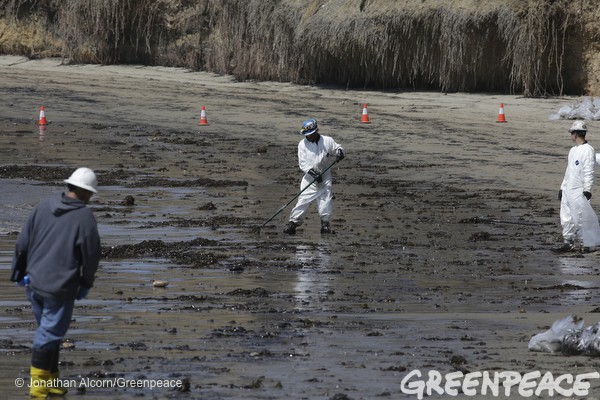 california oil spill greenpeace6