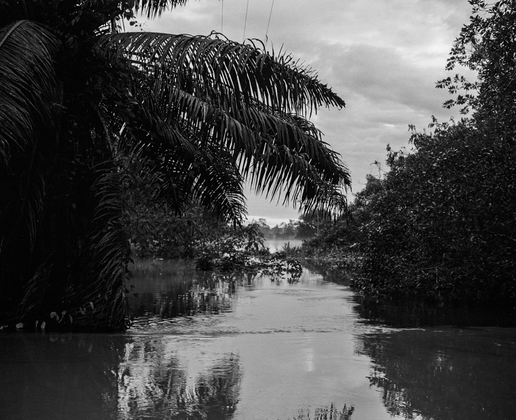 The Putumayo River is one of Colombia's largest and flows into the Amazon River Basin, along with any herbicides that have been sprayed in its waterways.