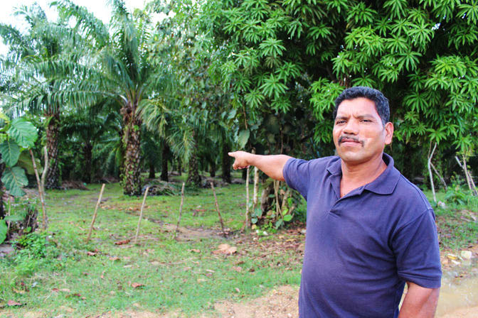Francisco Ramírez, a local farmer, says he was shot in the face during an attempted takeover of Dinant Corporation's El Tumbador plantation. The bullet entered one cheek and exited through the other. Here he points to the escape route where he says he fled after being shot. International Consortium of Investigative Journalists
