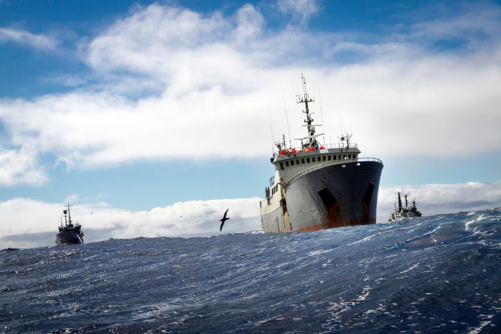 The Thunder, shadowed by the Bob Barker and the Sam Simon, in February. CreditSimon Ager/Sea Shepherd Global