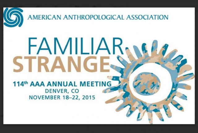 American-Anthropological-Association-2015-Annual-Meeting-Logo-w-Border-e1446059504323