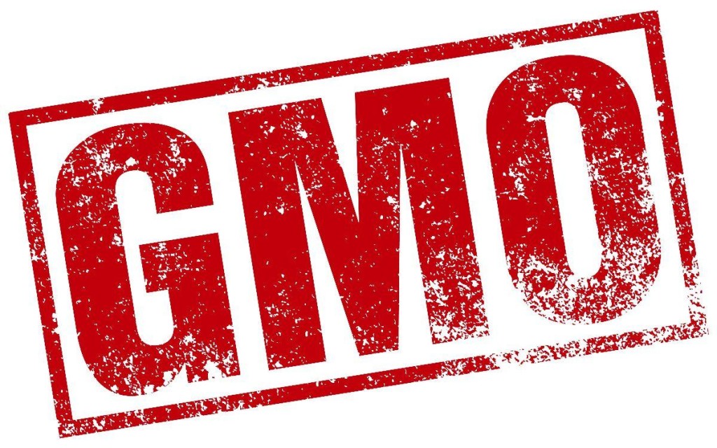 gmo logo