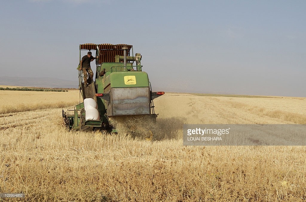 Syrian farmers work in a field in Daraa, 100 kms south of Damascus