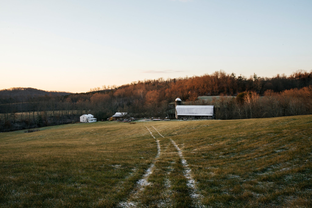 Land where Tennant cattle once grazed. Credit Bryan Schutmaat for The New York Time