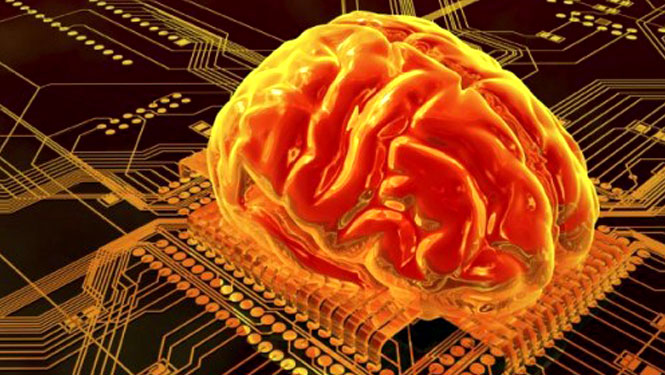 consciousness-vs-computers brains science spirituality
