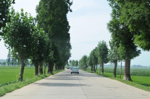 North Korean Country Road