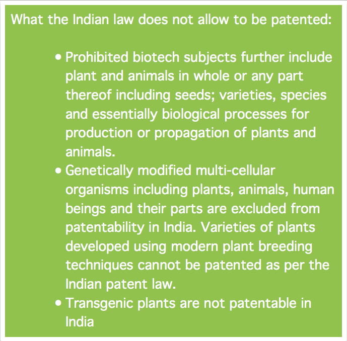 india monsanto patent seeds bt cotton