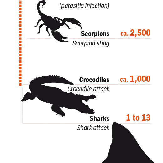 Graphic: Deadly animals