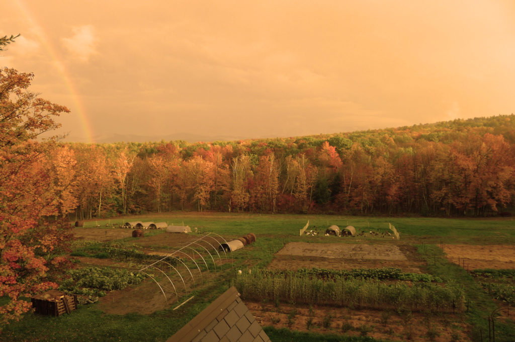 farmland agricultura