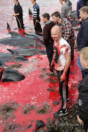 A Faroese local grins while covered in the blood of the slaughtered pilot whales. Image via nordlysid.fo