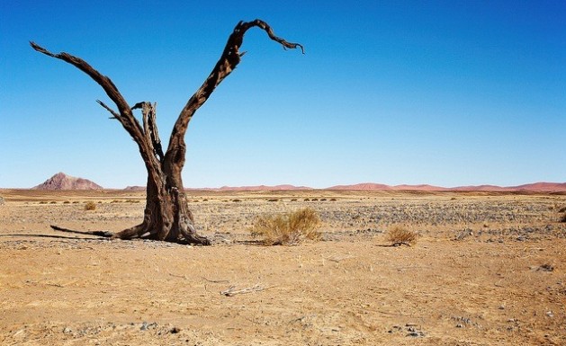Two billion hectares of land are badly degraded as a result of desertification. Credit: Bigstock/IPS