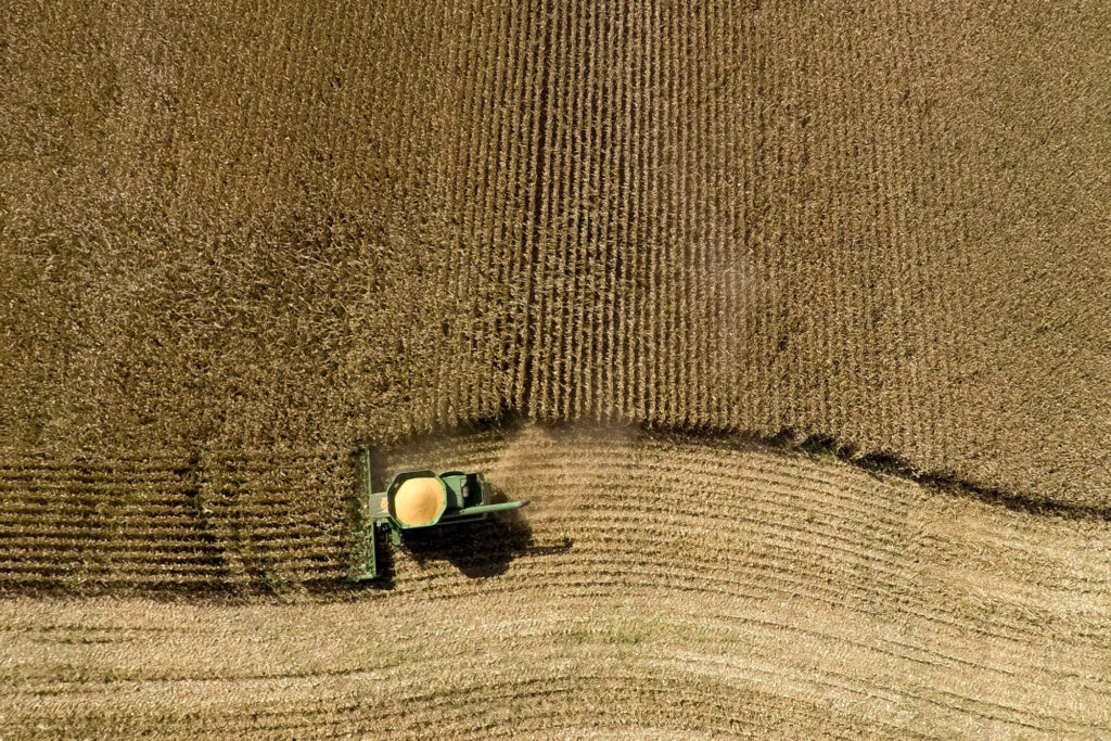 Corn harvest. Photographer: Daniel Acker/Bloomberg