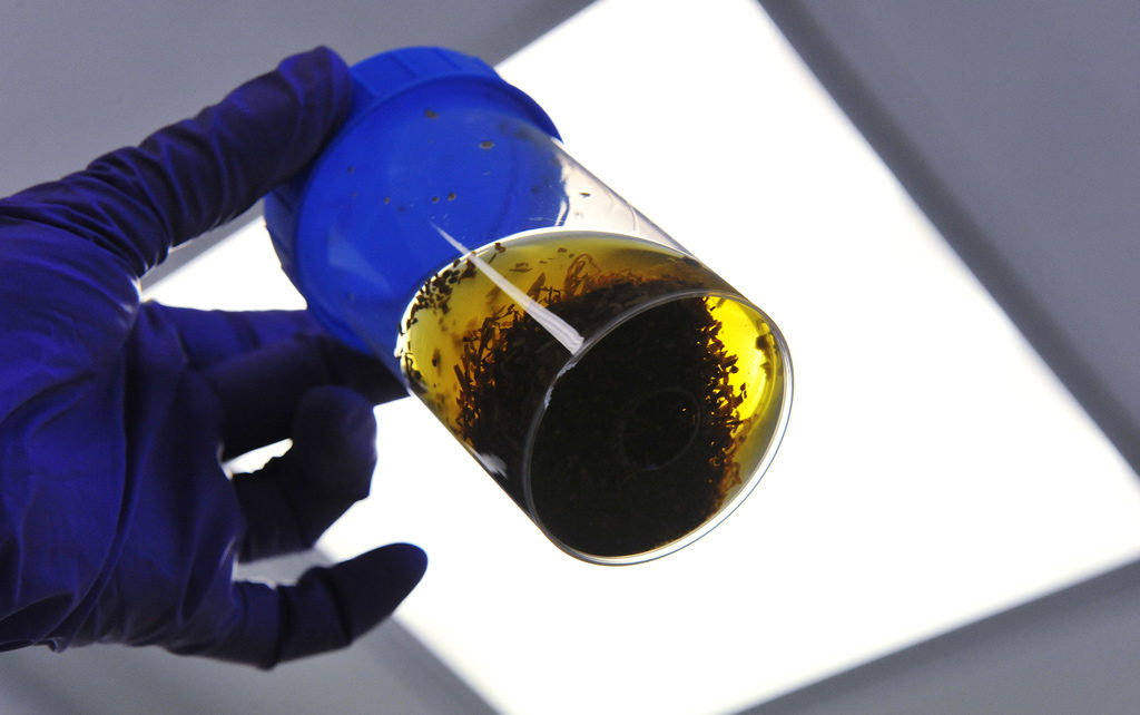 A man holds a tobacco sample at the Seita-Imperial tobacco research center on May 29, 2012, in Fleury-les-Aubrais, France. Photo: Alain Jocard/AFP/Getty Images