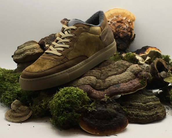 TRANSCEND MEDIA SERVICE » (Português) Marca alemã desenvolve linha de calçados  veganos com cogumelo