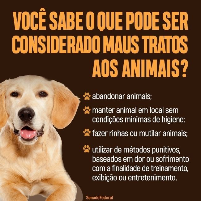 Direitos dos Animais - Foi assim que eu morri'' 😢💔 Comi um rato  envenenado Uma mulher encontrou-me. Tenho estado tão doente. Trouxe-me  para dentro para me manter quente. Abri os meus olhos